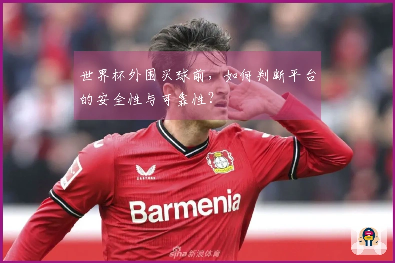 世界杯外围买球前，如何判断平台的安全性与可靠性？